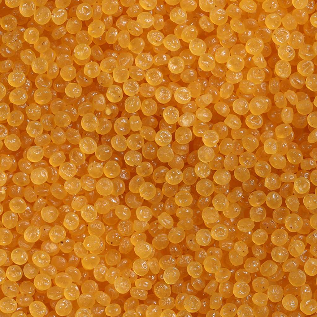 lentils-almounajed